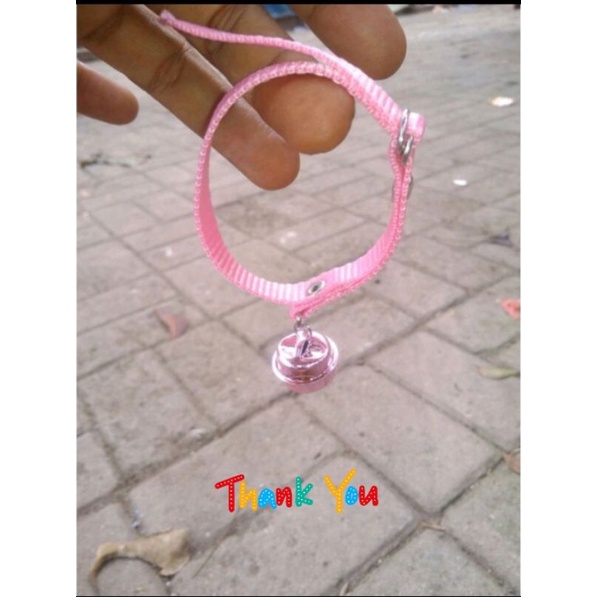 Kalung kucing lonceng