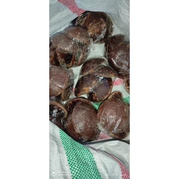 

GulaArenAsli