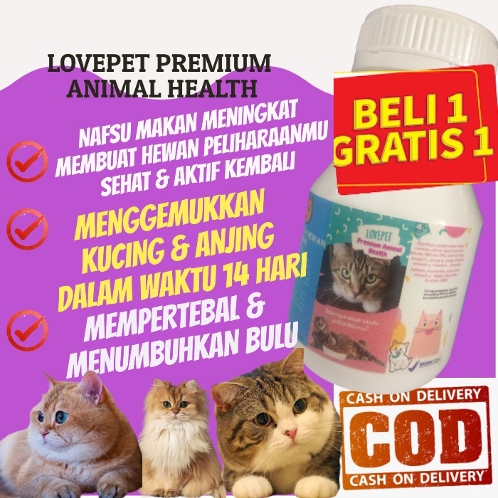 Makanan Kucing Untuk Gemuk Dan Bulu Cantik Fundacionfaroccr