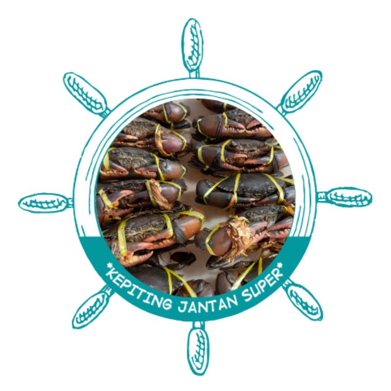 

Kepiting jantan super | kepiting jantan hidup segar | kepiting jantan full daging | kepiting sby