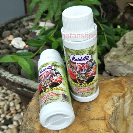 anti algae obat penghilang lumut alga remover aquarium raid all