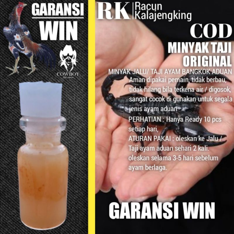 Minyak Taji racun Jalu kalajengking sabung ayam Bangkok aduan petarung