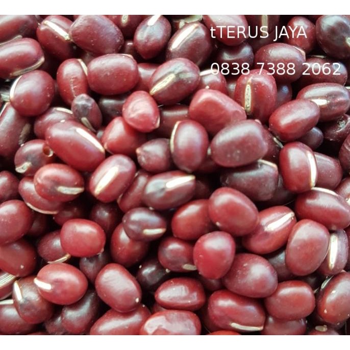 

Kacang Merah Azuki Import
