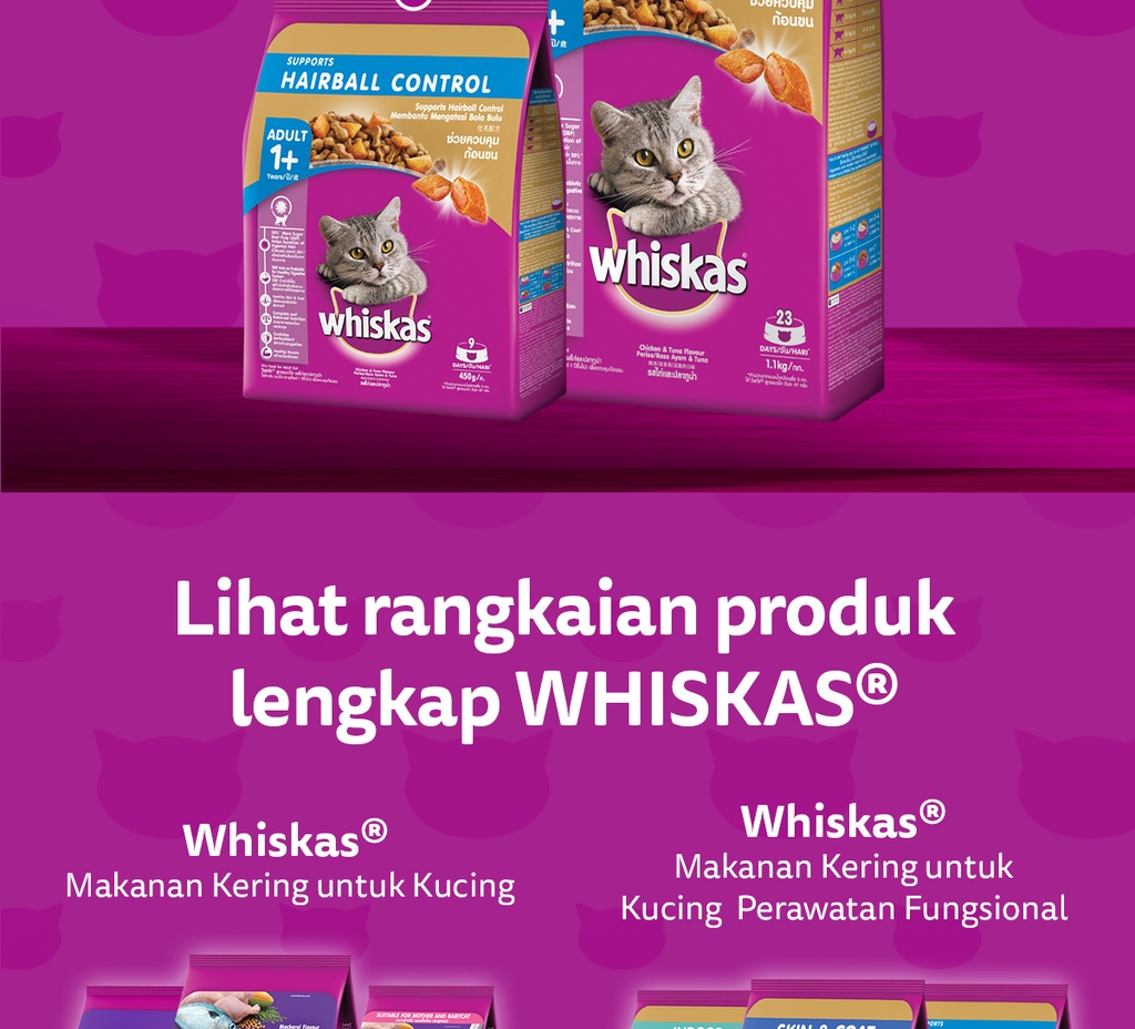 Jual WHISKAS Skin & Coat Makanan Kucing Kering untuk Kucing Dewasa