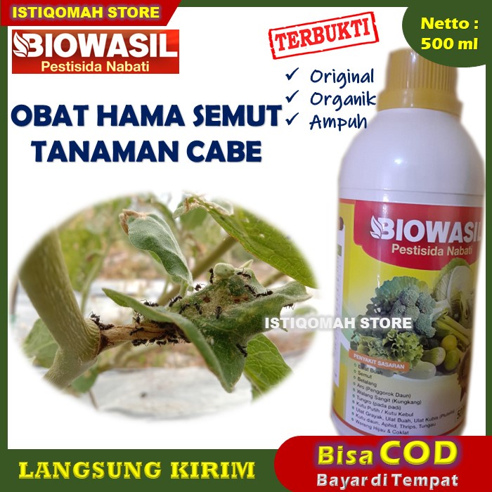 BIOWASIL 500ml Pestisida Nabati Obat Hama Pembasmi & Pengusir Semut Pada Tanaman Cabe yang Bagus Pal