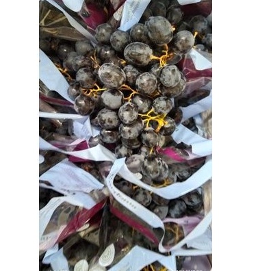 

Anggur Hitam Midnight Beauty premium, Manis Non Biji,buah palembang