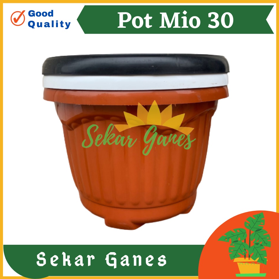 PROMO TERMURAH POT SHALLOM MIO 30 pot bunga bulat besar tebal murah pot bunga pot tanaman pot murah