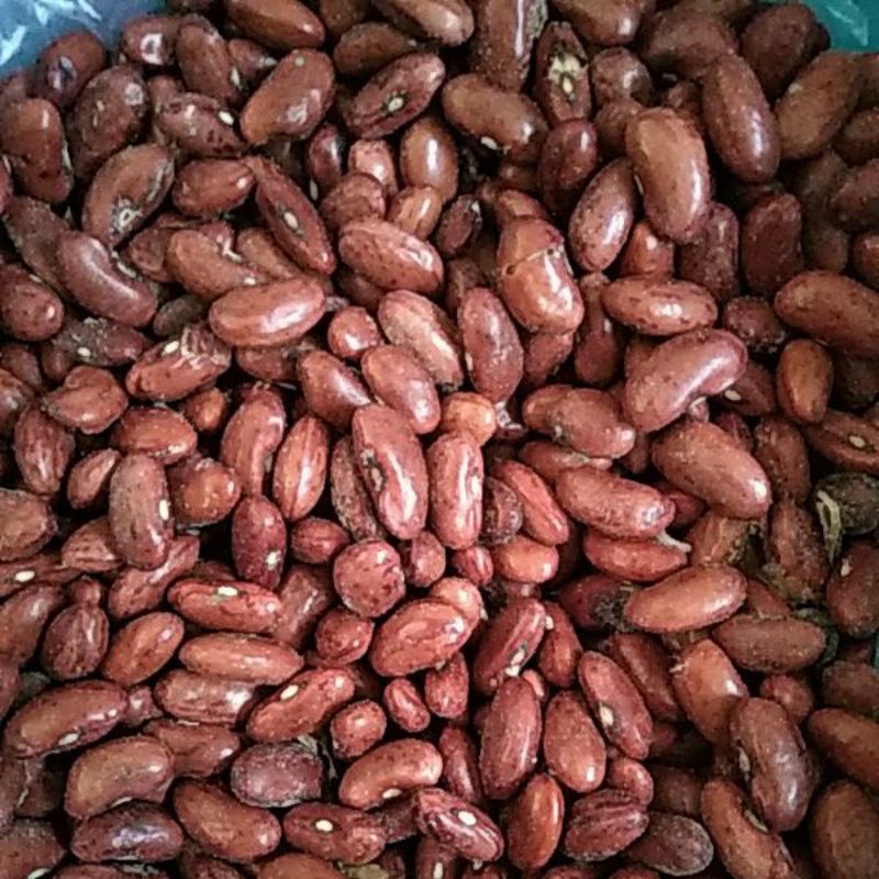 

Kacang Merah Kidney Bean