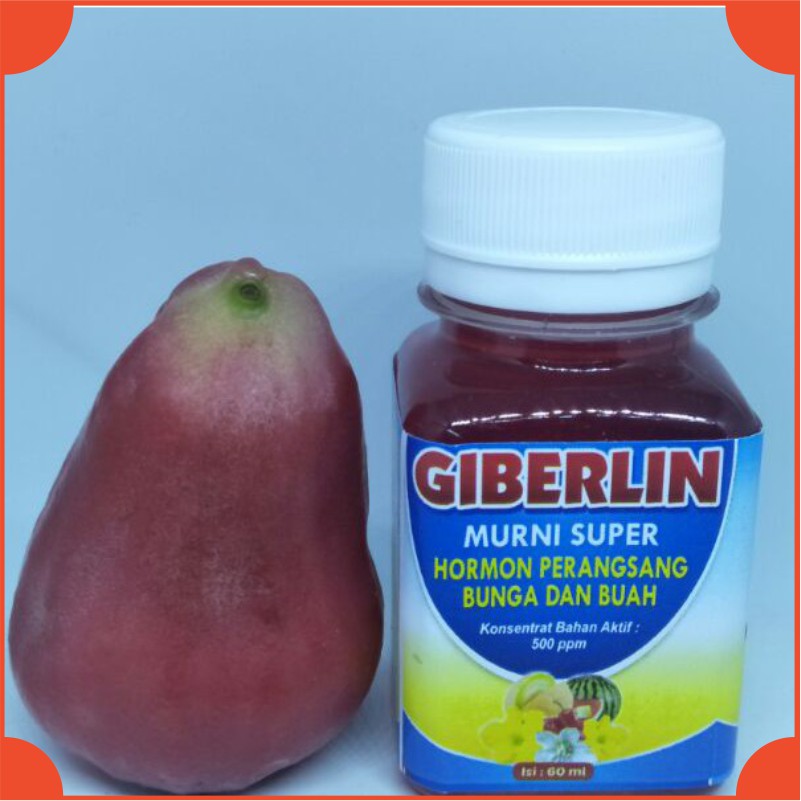 Jual Hormon Tanaman Hormon Zpt Giberelin Pupuk Cair Original