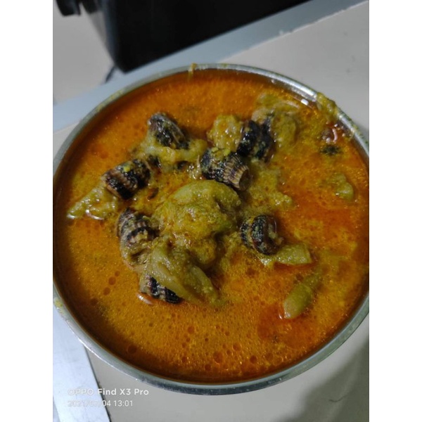 

bumbu kari instan