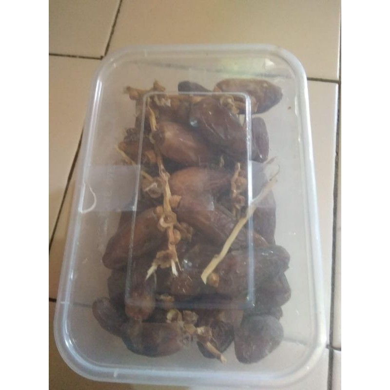 

kurma Tunisa Tangkai