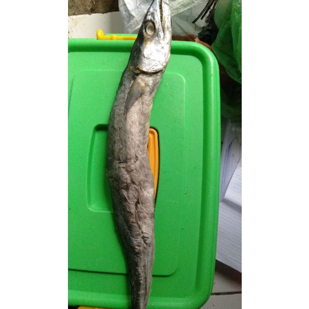 

tenggiri seafood kering