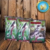 Topsong coklat/kuning| pakan burung| voer topsong