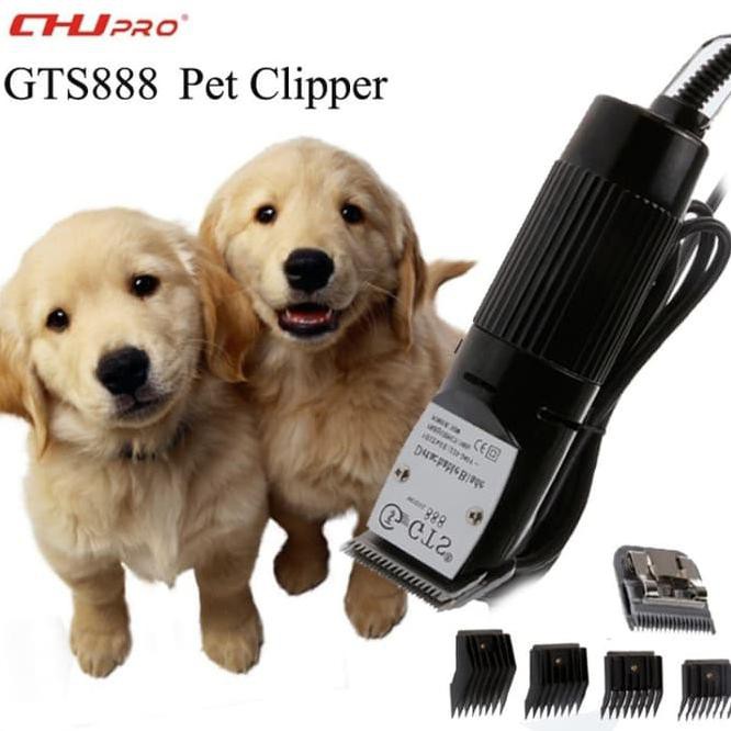 Mesin Cukur Bulu Binatang Kucing Dan Anjing GTS 888 Professional Pet C