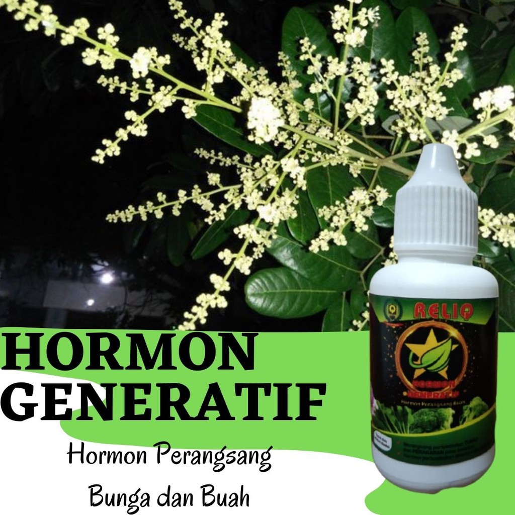 Hormon Giberelin Alami Perangsang Bunga dan Buah, RELIQ Hormon Tanaman Giberelin GA3 Fase Generatif