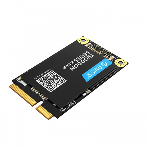 ORICO M200 mSATA SSD 512GB