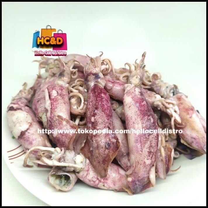 

Ikan Asin Cumi Sontong Bersih 500Gr 100% Halal