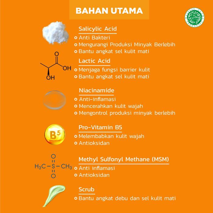 ERHA Sabun Wajah ECS Exfoliating Cleansing Scrub BHA Niacinamide - Kulit Berminyak