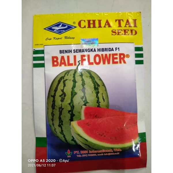 Semangka Bali Flower