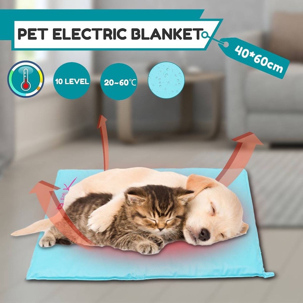 electric pet bed