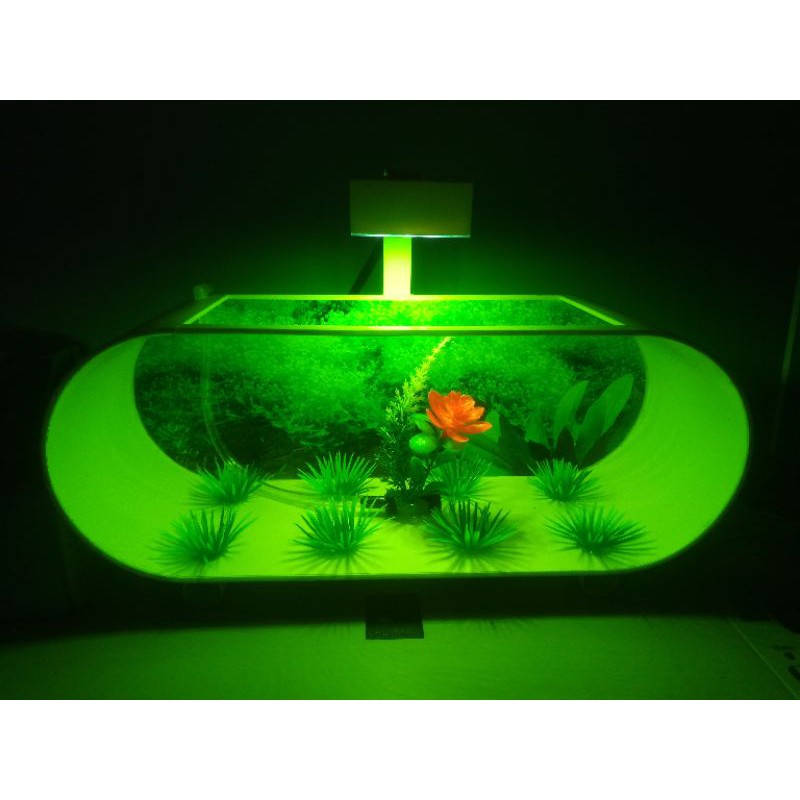 Aquarium mini pvc minimalis lengkap lampu dan mesin aerator