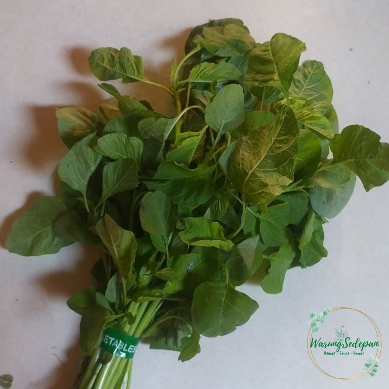 

Bayam Segar per ikat Bayam Hijau Sayur Segar Cikarang Sayur Murah Cikarang