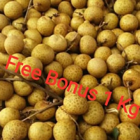 

Kelengkeng | Lengkeng 1 Kg + Gratis Bonus