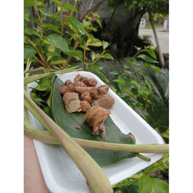 

BUMBU JANGKEP REMPAH LANGSUNG DARI PETANI