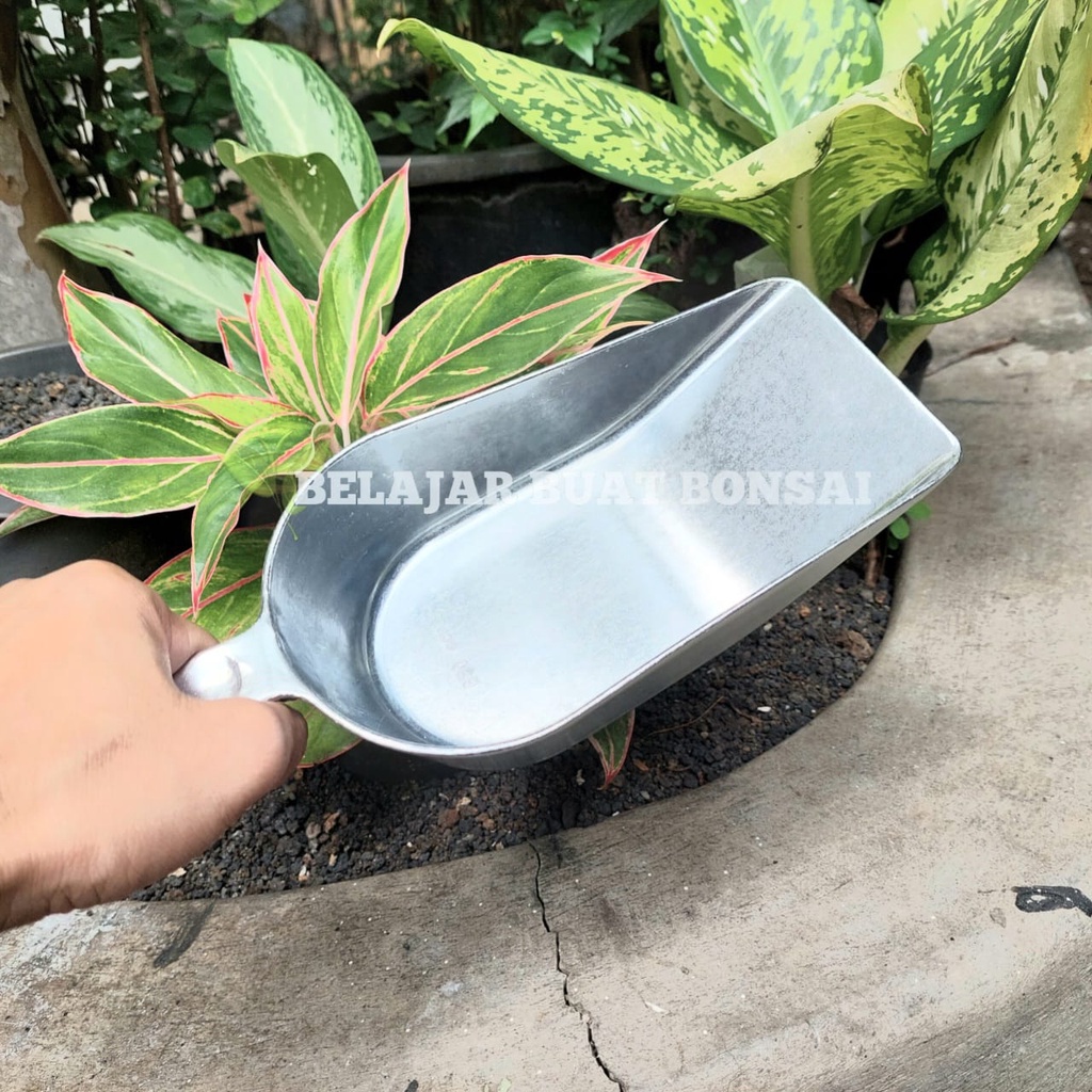 Sekop Pindah Media Premium Anti Karat Stainless Steel 31 CM