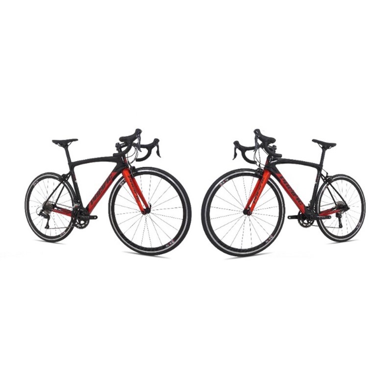 pacific primum 3.3 Roadbike carbon