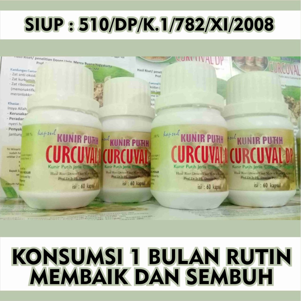 Flash Sale Obat Herbal Kunyit Putih Kunir Putih Temu Putih Kapsul Kunir Putih Kapsul Kunyit Putih Indonesia