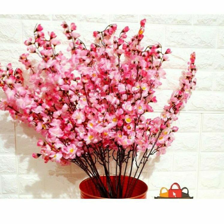 

Discount Today Bunga sakura meihua import