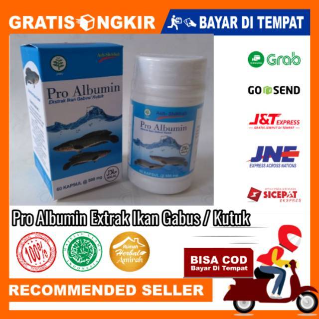 PRO ALBUMIN EKSTRAK IKAN GABUS / KUTUK KAPSUL isi 50 kapsul 100% asli original