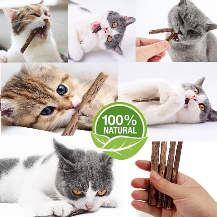 CATNIP KUCING TEETH STIX / CATNIP KAYU / CATNIP KUNYAH KUCING