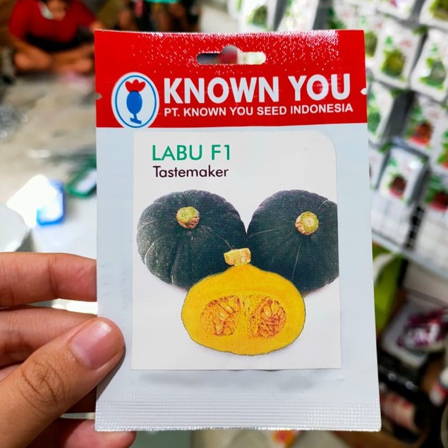 KYS - benih LABU MINI TASTEMAKER isi 4 biji - benih labu mini - benih labu kabocha - known you seed