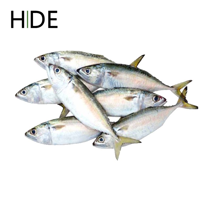 

Ikan Segar - Ikan Kembung 500 gr