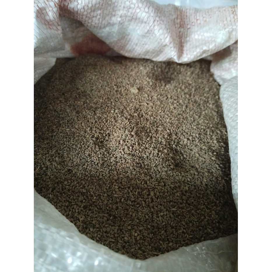 

biji mungsi ketumbar mungsi 500gr