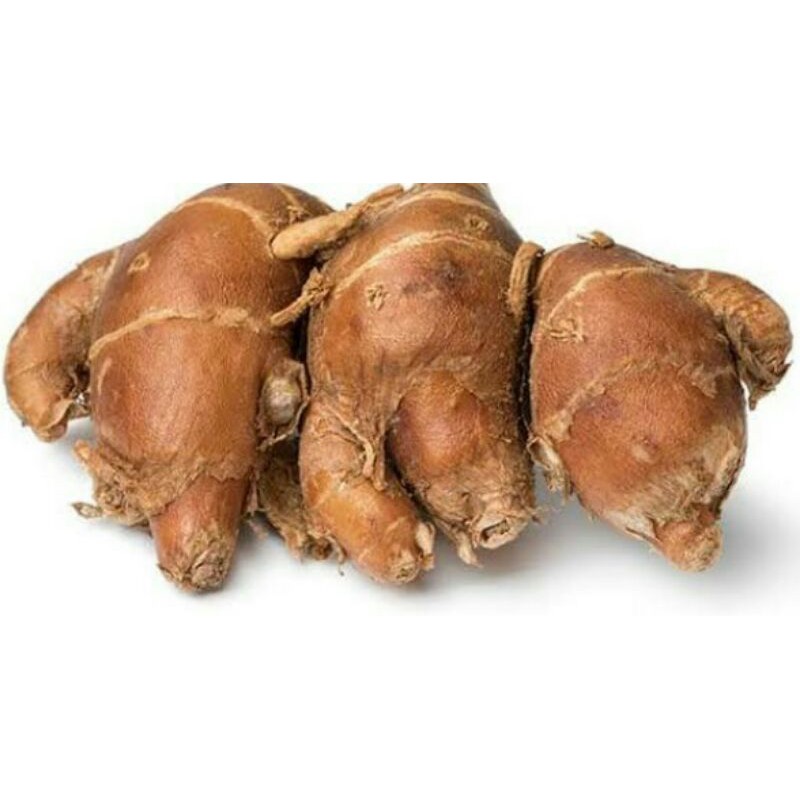 

Kencur Bumbu Dapur/250