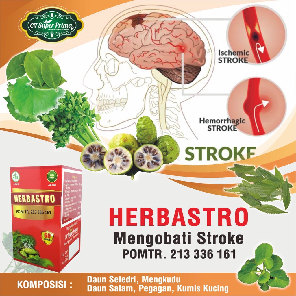 Jual Herbastro Kapsul Obat Herbal Stroke Struk Setara Normocare Stroke