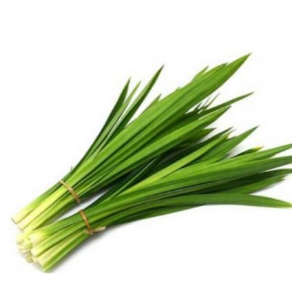 

Daun Pandan Wangi segar - Perasa makanan alami - Daun pandan segar Per ikat MURAH