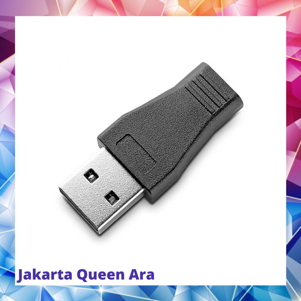 Adapter Konverter USB 3.0 ke USB 3.1