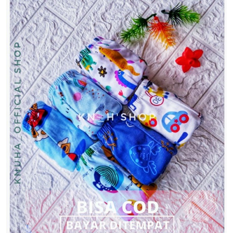 12 Pcs Pakaian Dalam Anak Laki Laki Perempuan Celana Dalam Anak