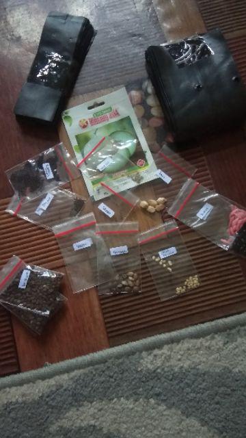 Benih Selada Ice Berg Kemasan Repack Cocok Ditanam Di Pekarangan