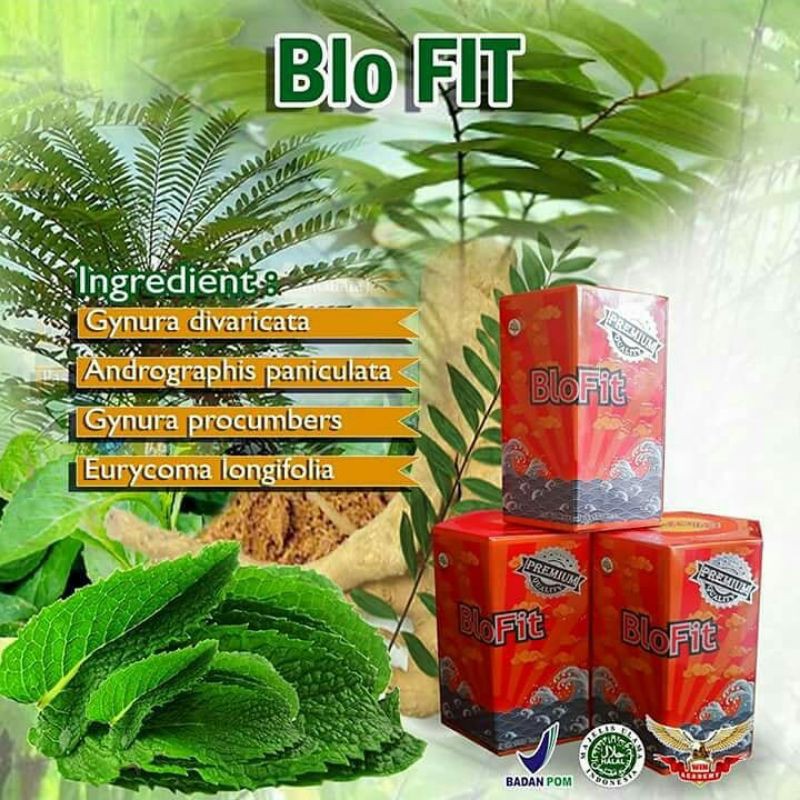 

blofit original termurah