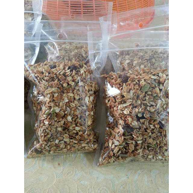 Organic Granola 500gr