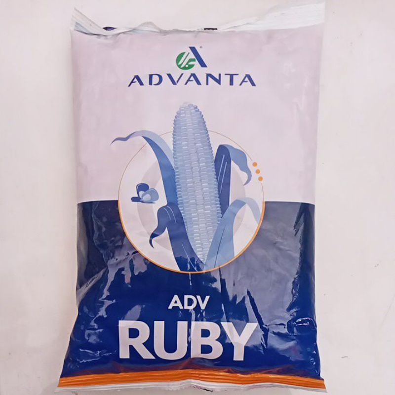 Benih Jagung Advanta Ruby (Dulu ADV 777)