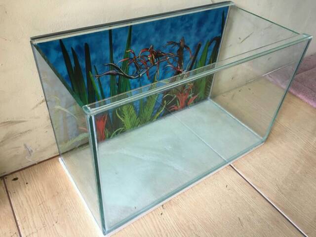 Aquarium Akuarium Ukuran 40 X 19 X 25 Cm 40x19x25 Untuk Aquascape Ikan Hamster Hewan Dll Shopee Indonesia