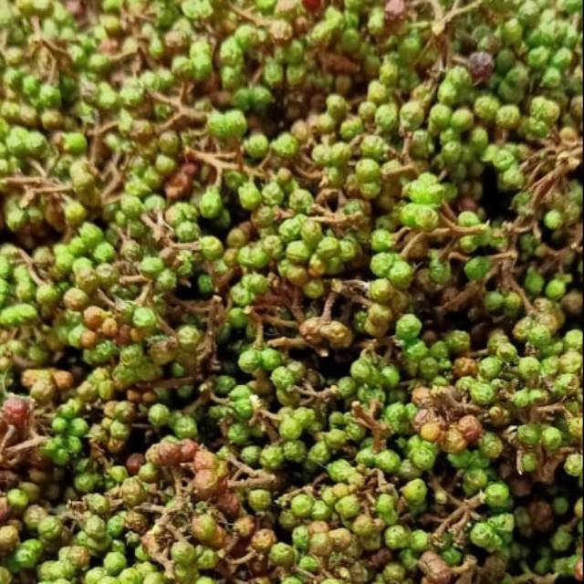 

Andaliman bumbu khas medan 250gr