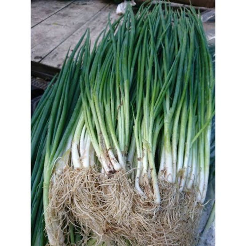 

Daun Bawang 100gr