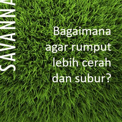 ➨ Pupuk Rumput / Rumput Gajah / Rumput Jepang SAVANNA 100ml ❆